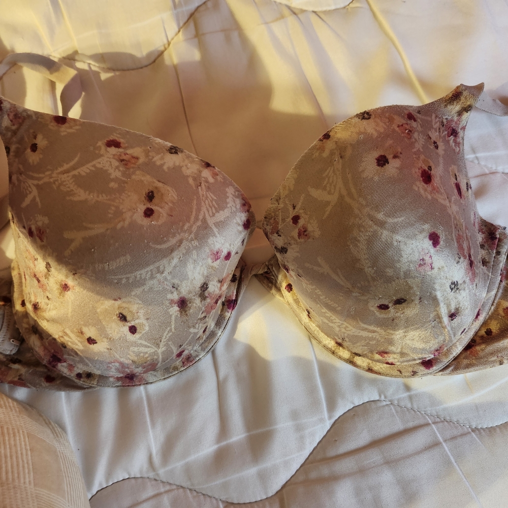 Maidenform Cream and Pink Floral Bra